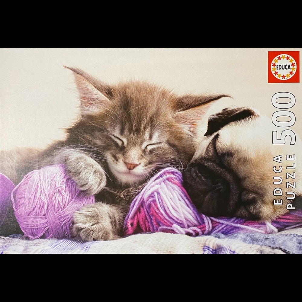 Educa 500 Piece Puzzle Kitten and Puppy Snuggles